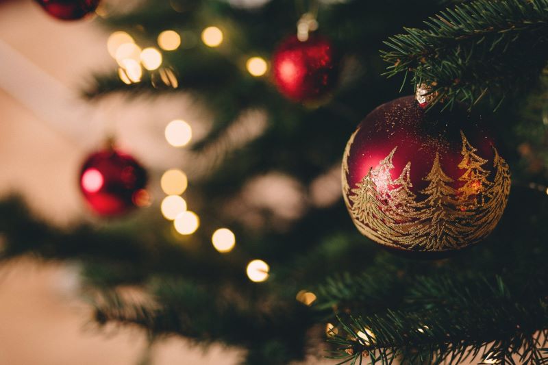 The history of the Christmas tree and its cultural significance